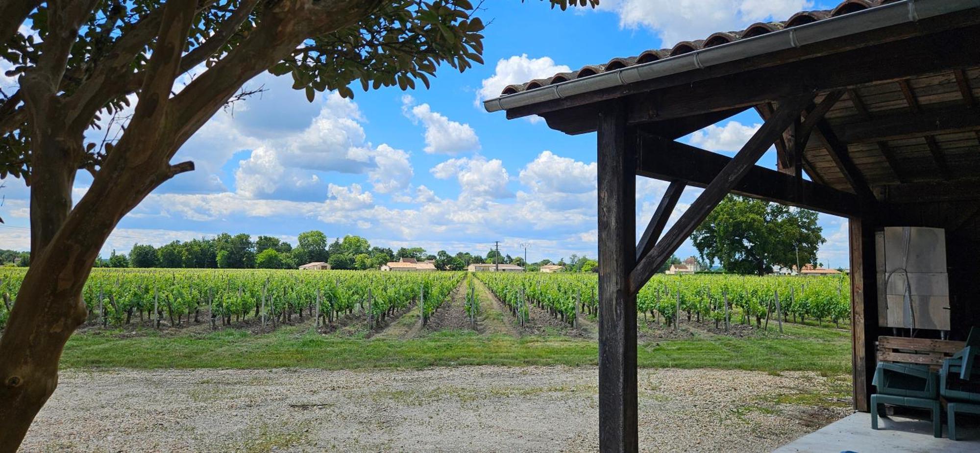 Chambres D'Hote & Gite Chateau Le Conte - Saint Emilion Exterior photo